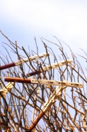 A photograph art piece where jesticks are branches of a tree in the wind